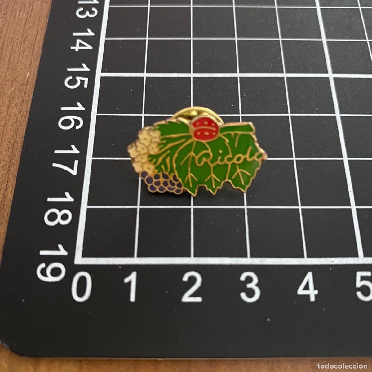 Pin's de collection: ANTIGUO PIN RICOLA SAUCO PUBLICIDAD