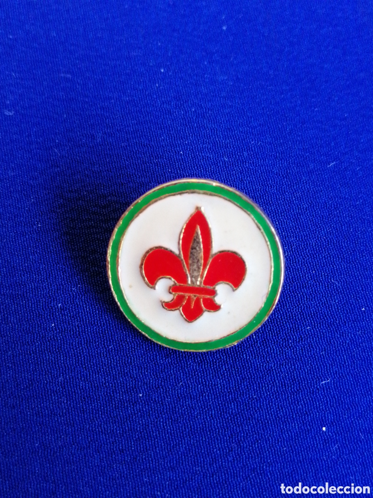 Pins de colecci&oacute;n: BOYS SCOUTS PIN - Foto 1