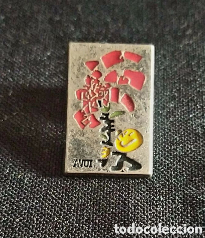 Pins de colecci&oacute;n: PIN DIARIO AVUI