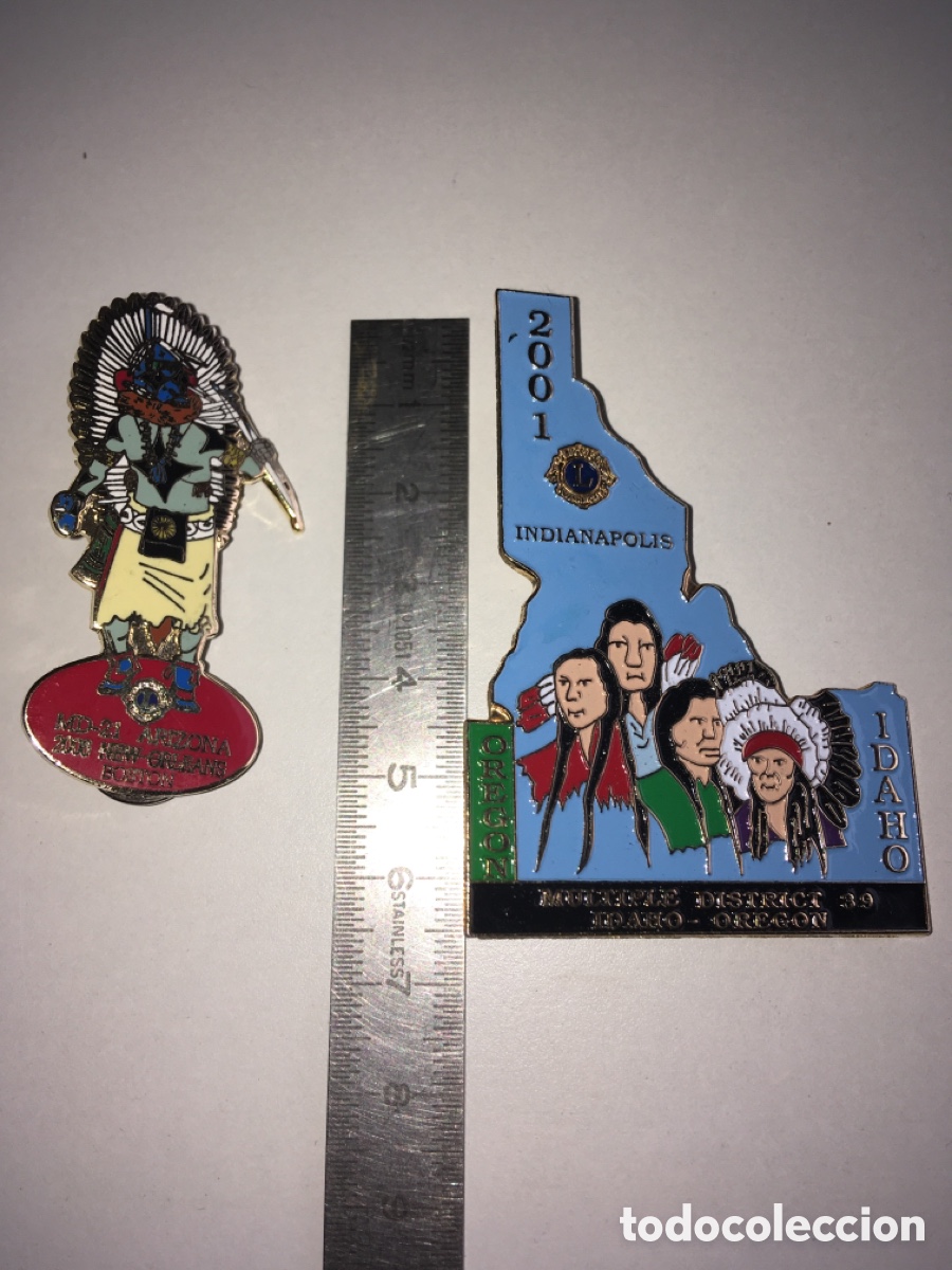 Pins de colecci&oacute;n: Lote 2 pins Indios Americanos - Foto 1