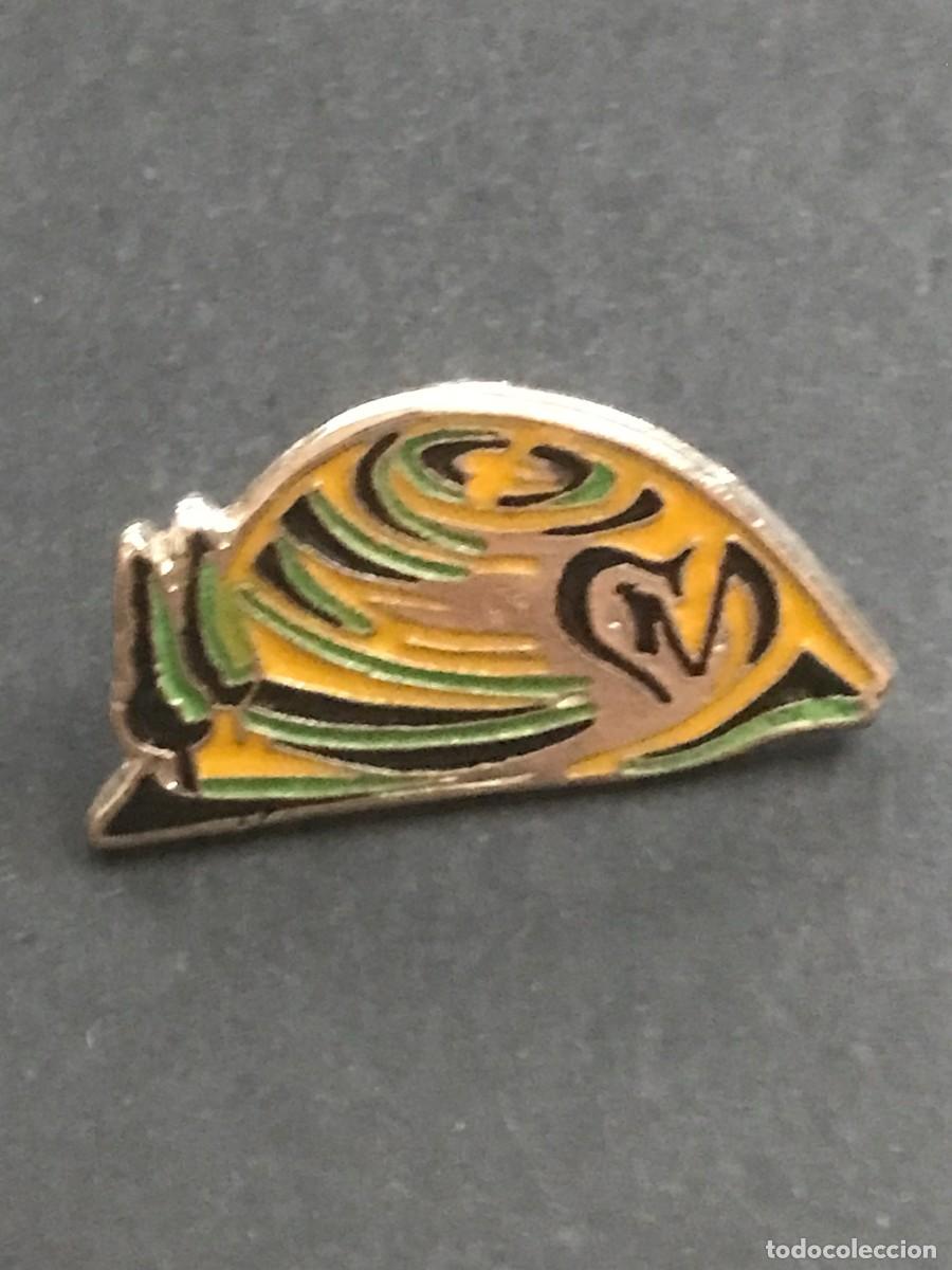 Pin's de collection: PIN PINS - DESCONOCIDO PAISAJE