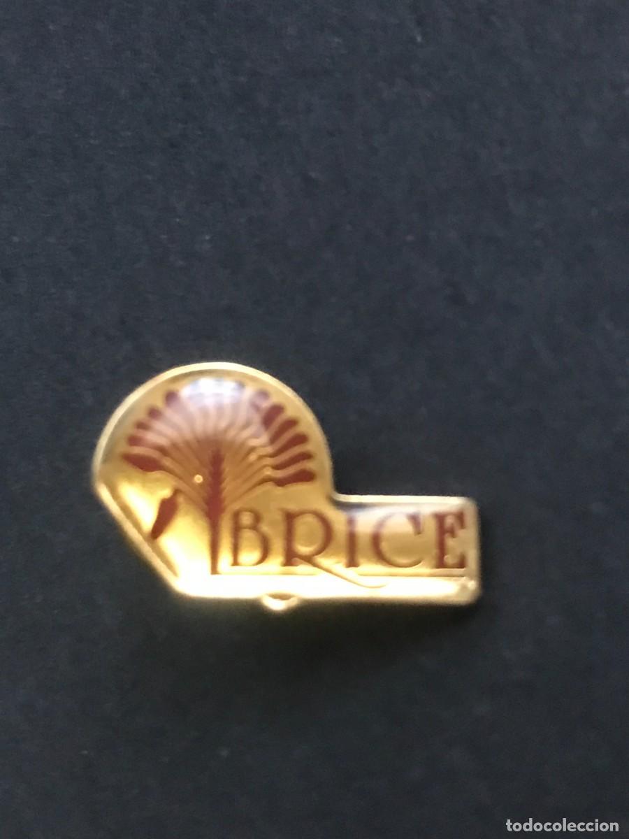 Pin's de collection: PIN PINS - BRICE DESCONOCIDO