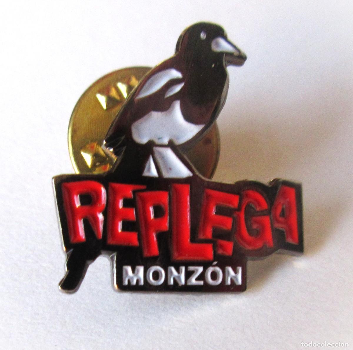 Pins de colecci&oacute;n: Pin de la trobada de Replega a&ntilde;o 2.006