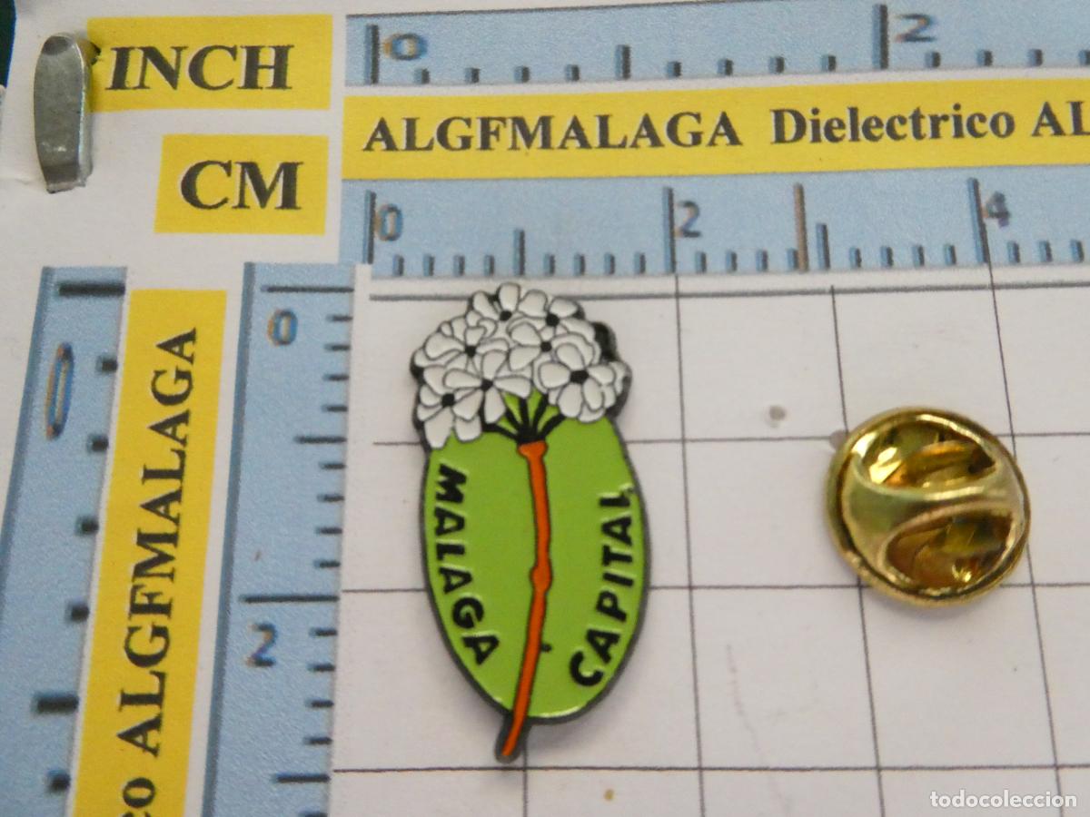 Pin's de collection: PIN DE TURISMO. BIZNAGA FLORE DE M&Aacute;LAGA