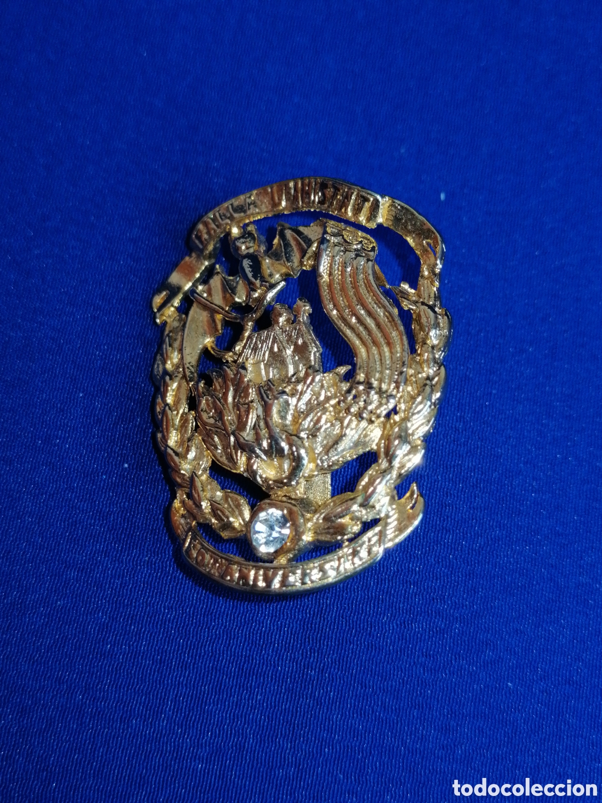 Collection pins: FALLA REP&Uacute;BLICA ARGENTINA - 50 ANIVERSARIO -N&Uacute;MERO COMISION 113 - ANIVERSARIO INSIGNIA DE ALFILER