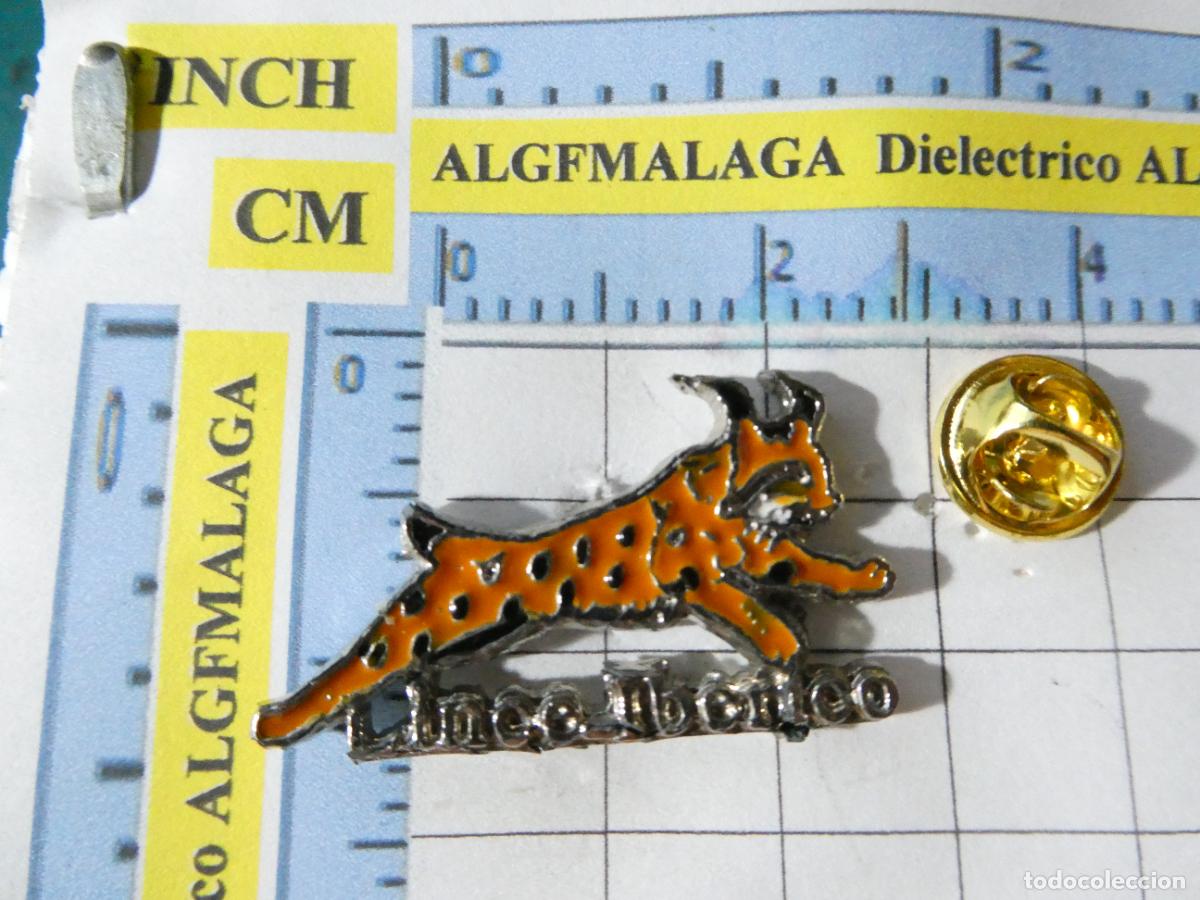 Pin's de collection: PIN DE NATURALEZA ECOLOG&Iacute;A ANIMALES. LINCE IB&Eacute;RICO