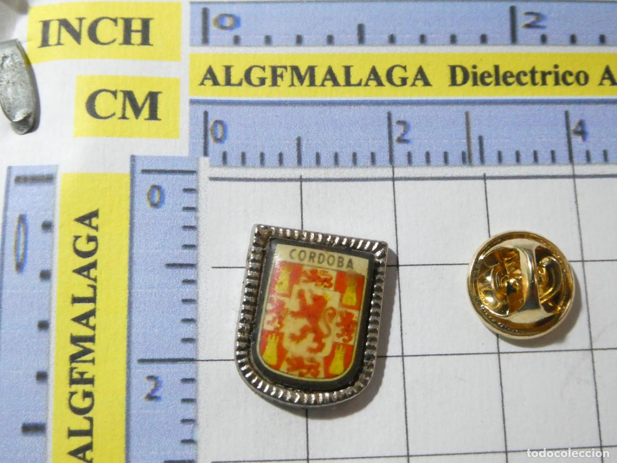 Sammlung von Pins: PIN DE TURISMO HER&Aacute;LDICA. ESCUDO HER&Aacute;LDICO C&Oacute;RBOBA