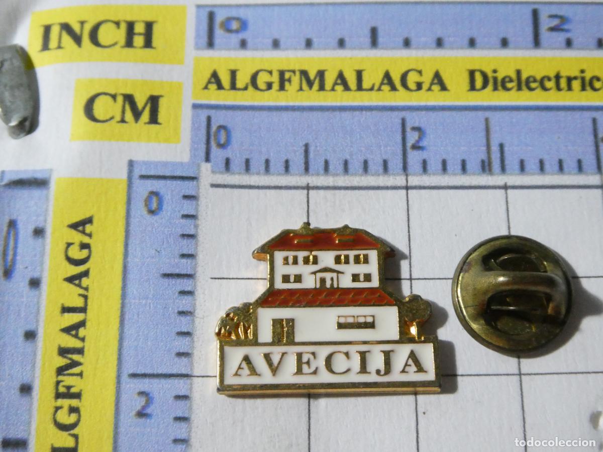 Pins de colecci&oacute;n: PIN DE LA ASOCIACI&Oacute;N DE VECINOS CIUDAD JARD&Iacute;N M&Aacute;LAGA AVECIJA