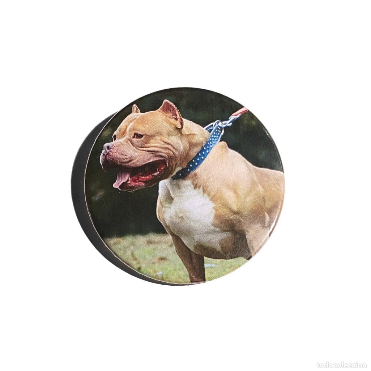 Pins de colecci&oacute;n: AMERICAN PIT BULL TERRIER - CHAPA 59mm (CON IMPERDIBLE)