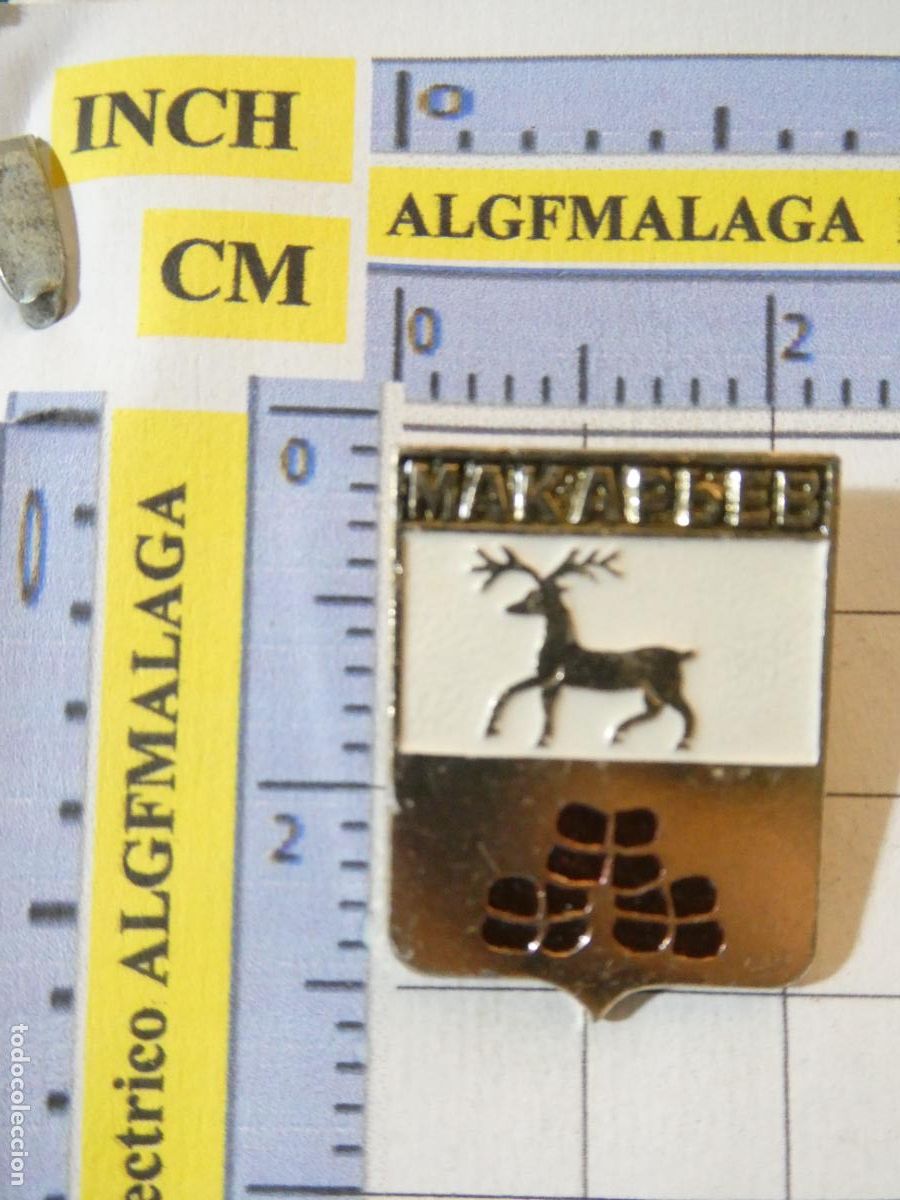 Collection pins: INSIGNIA BROCHE RUSIA UNI&Oacute;N SOVI&Eacute;TICA. TURISMO HER&Aacute;LDICA. MAKARIEV. NO PIN