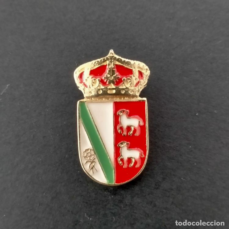 Sammlung von Pins: PIN ESCUDO EL CAMPILLO DE LA JARA (TOLEDO)