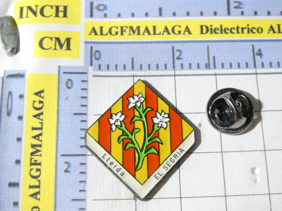 Collection pins: PIN DE TURISMO HER&Aacute;LDICA. L&Eacute;RIDA LLEIDA EL SEGRI&Aacute;