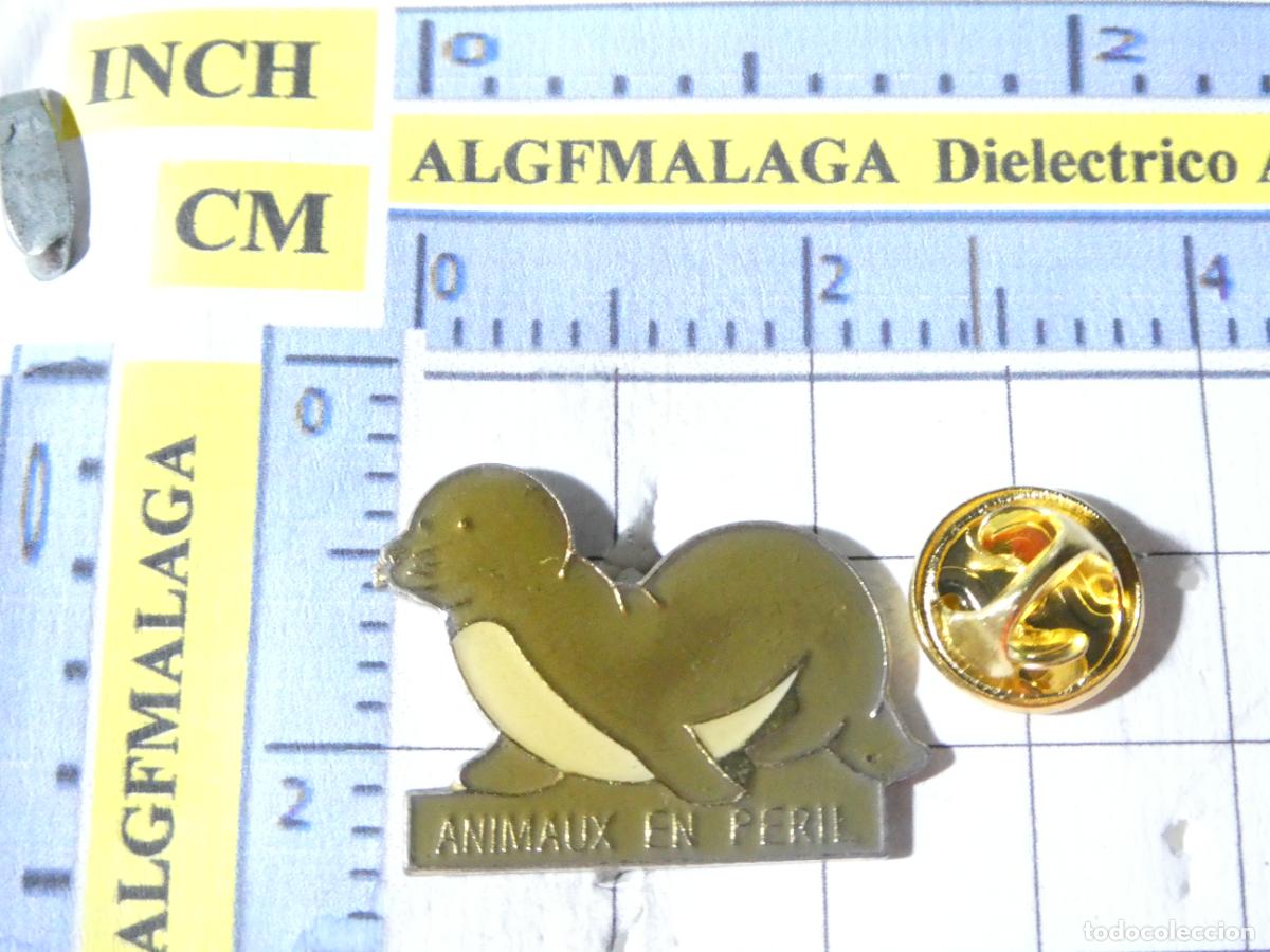 Pins e Spille di collezione: PIN DE ANIMALES. ANIMALES EN PELIGRO. FOCA
