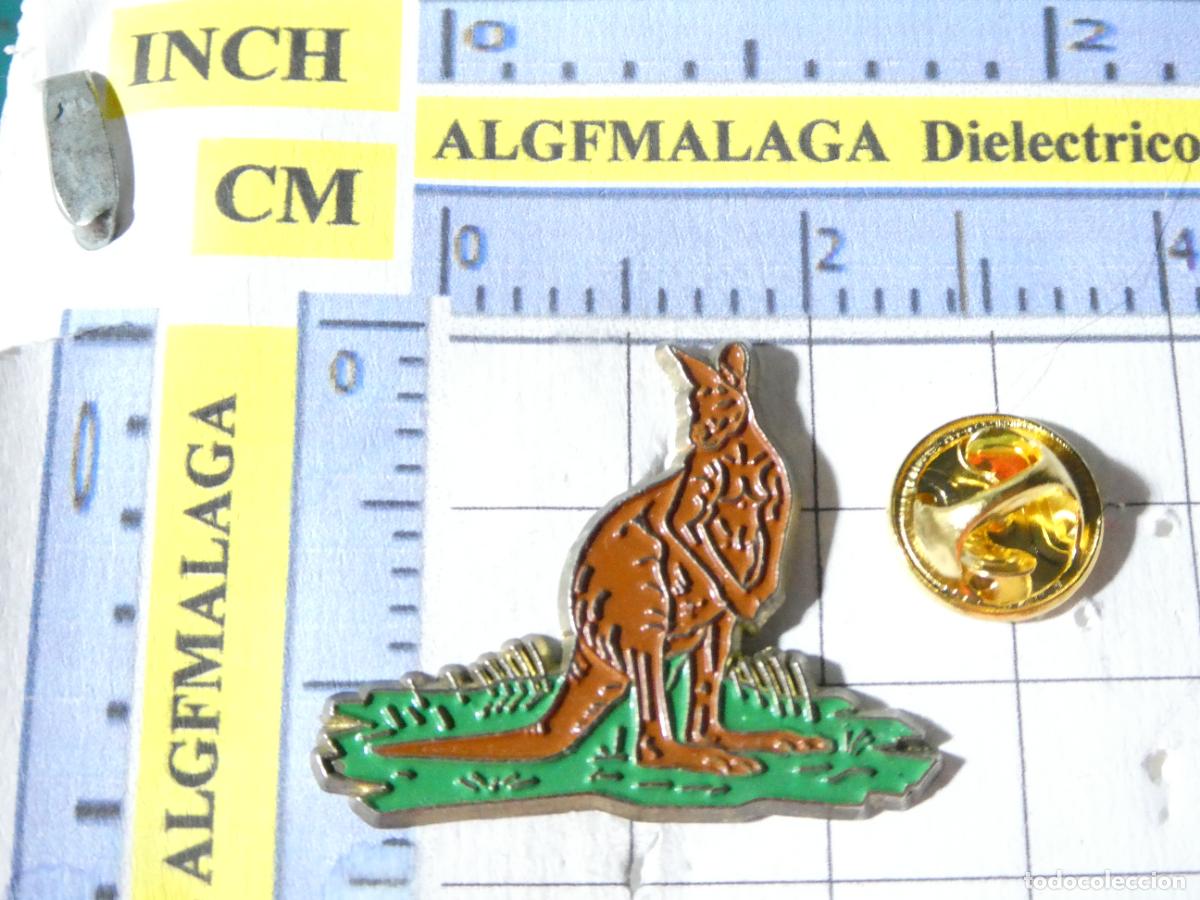 Pins de colecci&oacute;n: PIN DE ANIMALES. CANGURO. - Foto 1