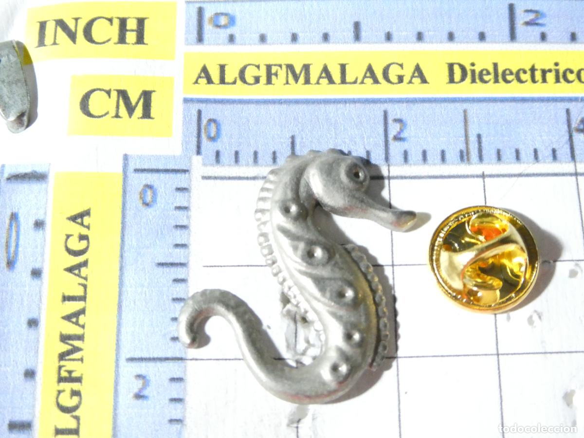 Pins de colecci&oacute;n: PIN DE ANIMALES. CABALLITO DE MAR. - Foto 1