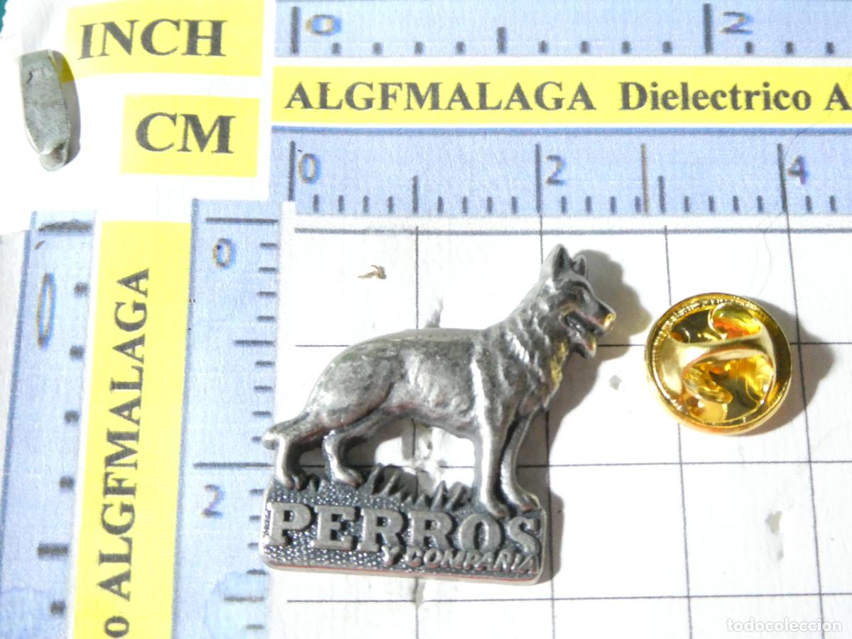Pins de colecci&oacute;n: PIN DE ANIMALES. PERROS Y COMPA&Ntilde;&Iacute;A - Foto 1