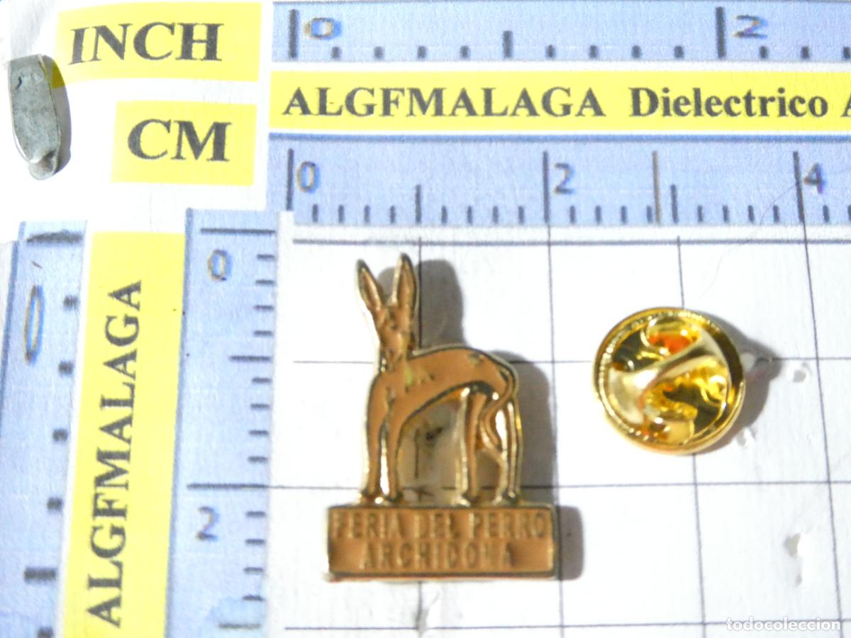 Pins de cole&ccedil;&atilde;o: PIN DE ANIMALES. FERIA DEL PERRO DE ARCHIDONA M&Aacute;LAGA GALGO