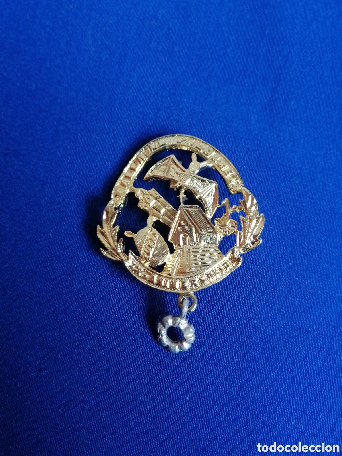 Pins de colecci&oacute;n: FALLA EL PALMERET (ALBORAYA) X ANIVERSARIO INSIGNIA DE ALFILER