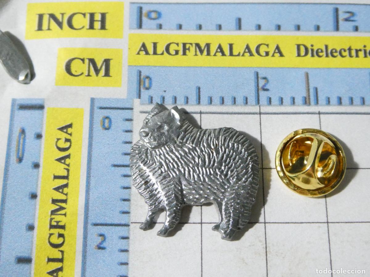 Pins de cole&ccedil;&atilde;o: PIN DE ANIMALES. GATO TIPO ANGORA PLATEADO