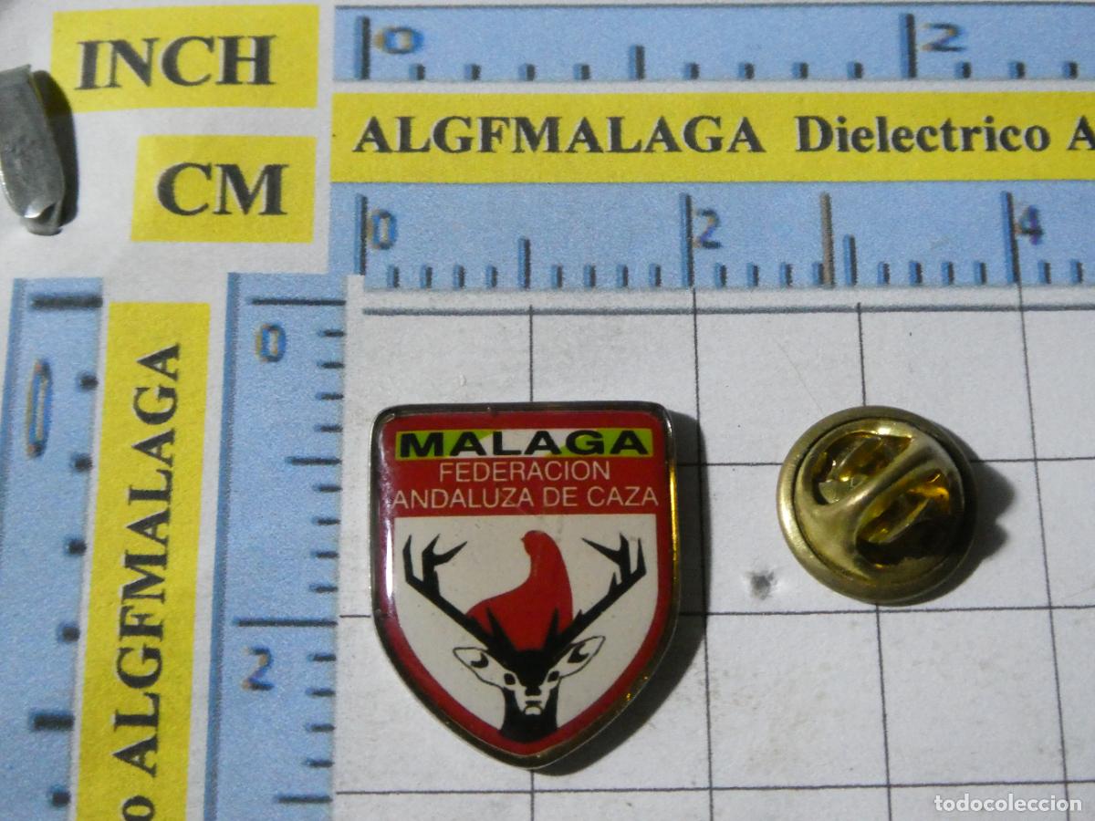 Collection pins: PIN DE ANIMALES. CAZADORES. FEDERACI&Oacute;N ANDALUZA DE CAZA M&Aacute;LAGA