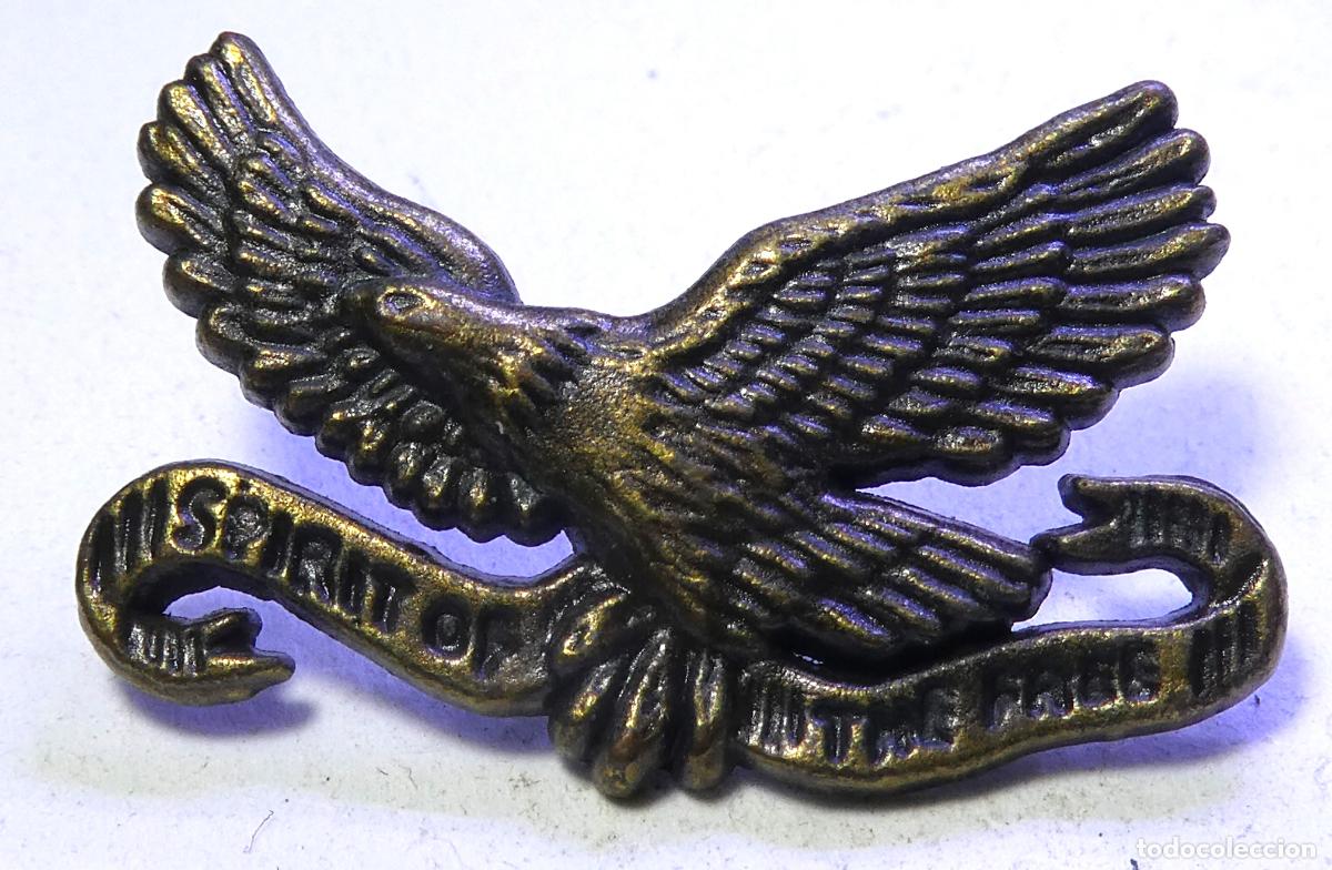 Collection pins: PIN &Aacute;GUILA SPIRIT OF THE FREE , de pincho