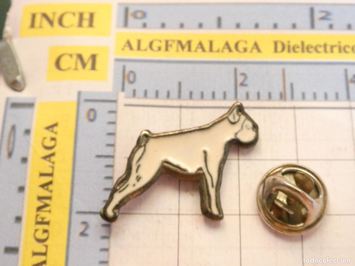 Pins de colecci&oacute;n: PIN DE ANIMALES. PERROS. BOXER - Foto 1