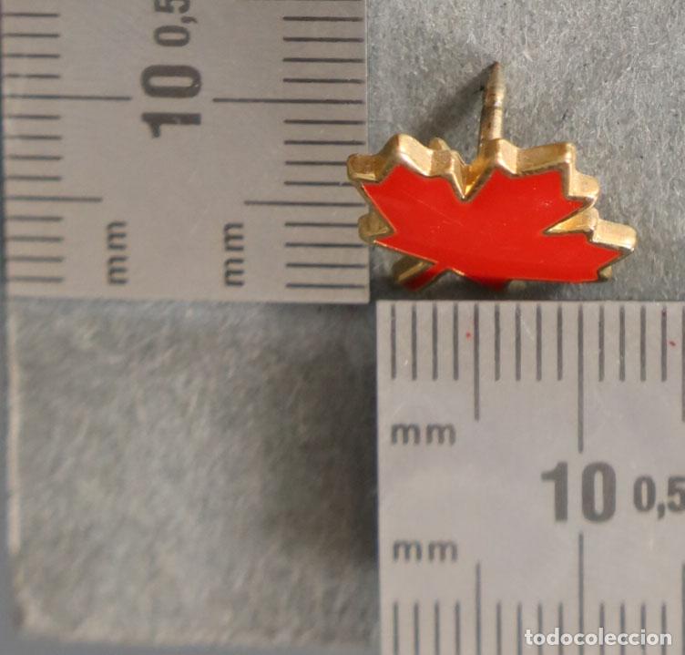 Pins de colecci&oacute;n: PIN. FLOR CANADIENSE - Foto 1