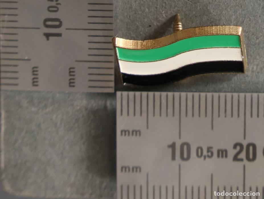 Sammlung von Pins: PIN. BANDERA DE EXTREMADURA