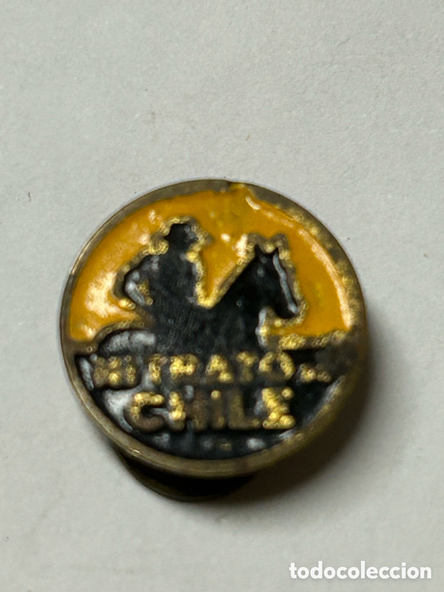 Pins de colecci&oacute;n: INSIGNIA PIN ANTIGUA NITRATO DE CHILE OJAL