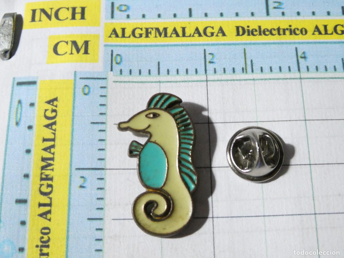 Pin's de collection: PIN DE ANIMALES NATURALEZA. CABALLITO DE MAR