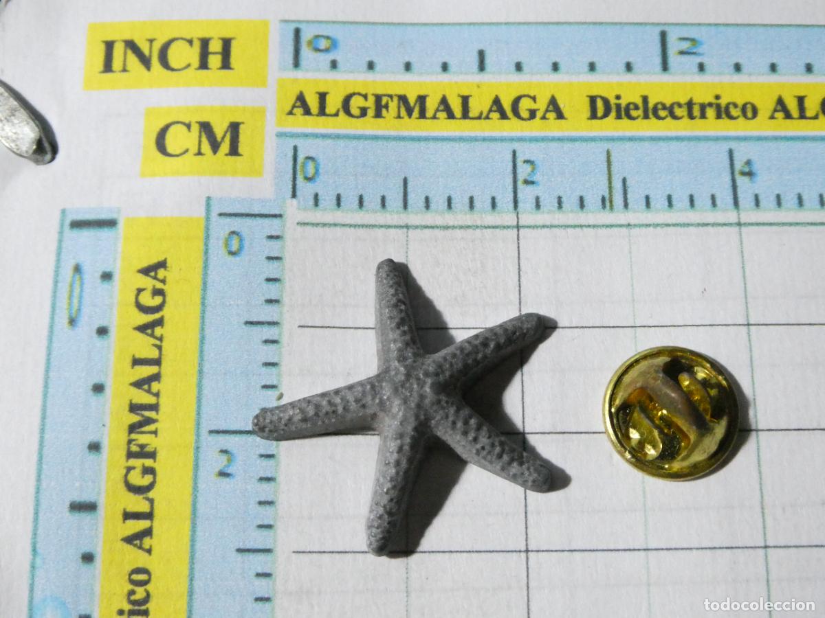 Pins de colecci&oacute;n: PIN DE ANIMALES. ESTRELLA DE MAR - Foto 1