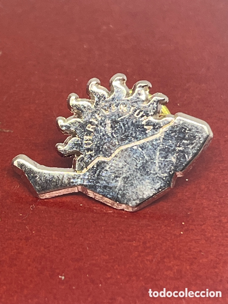 Pins de colecci&oacute;n: PIN DE UN. PEZ NUEVO - Foto 1