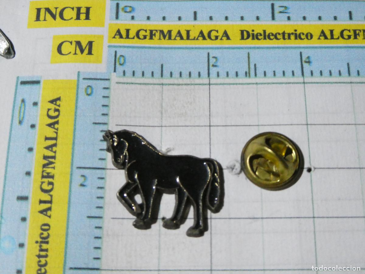 Pins de colecci&oacute;n: PIN DE ANIMALES. CABALLO NEGRO - Foto 1