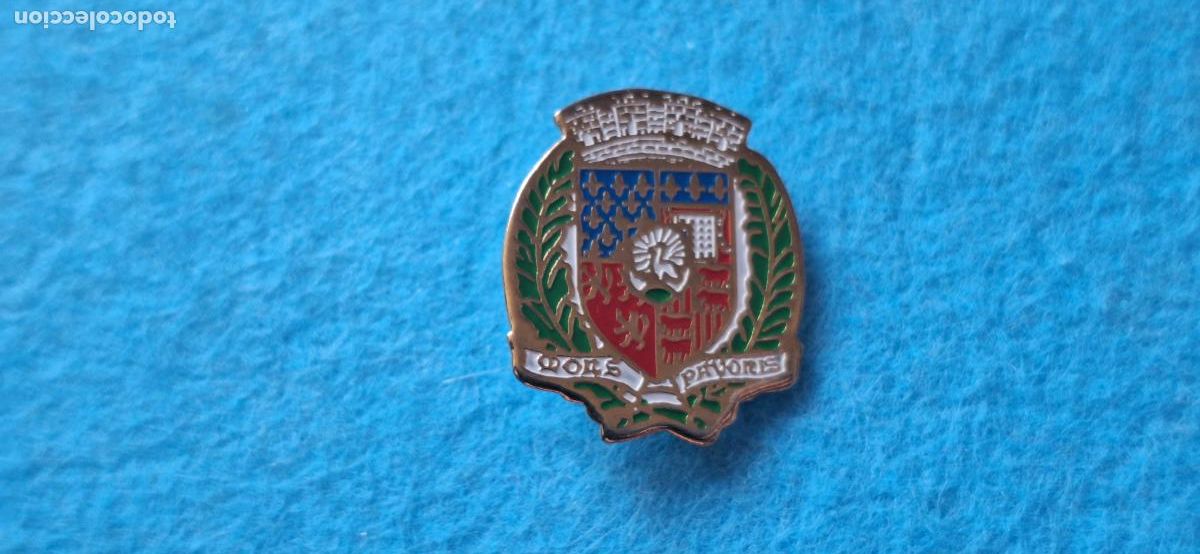 Pins de colecci&oacute;n: Pin Her&aacute;ldico. Escudo. Palabras en lat&iacute;n Mons Pavoris