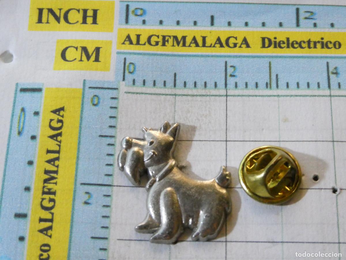 Pins de colecci&oacute;n: PIN DE DIBUJOS ANIMADOS TEBEOS. IDEFIX PERRO ASTERIX OBELIX