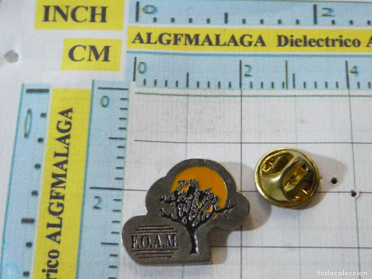 Pins de colecci&oacute;n: PIN FOAM FEDERACI&Oacute;N ORGANIZACIONES ANDALUZAS DE MAYORES