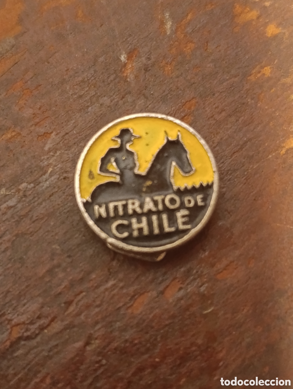 Pins de colecci&oacute;n: pins nitrato de chile.