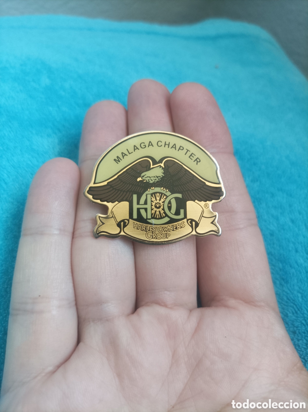 Pins de colecci&oacute;n: Pins grande Harley Davison M&aacute;laga Chapter