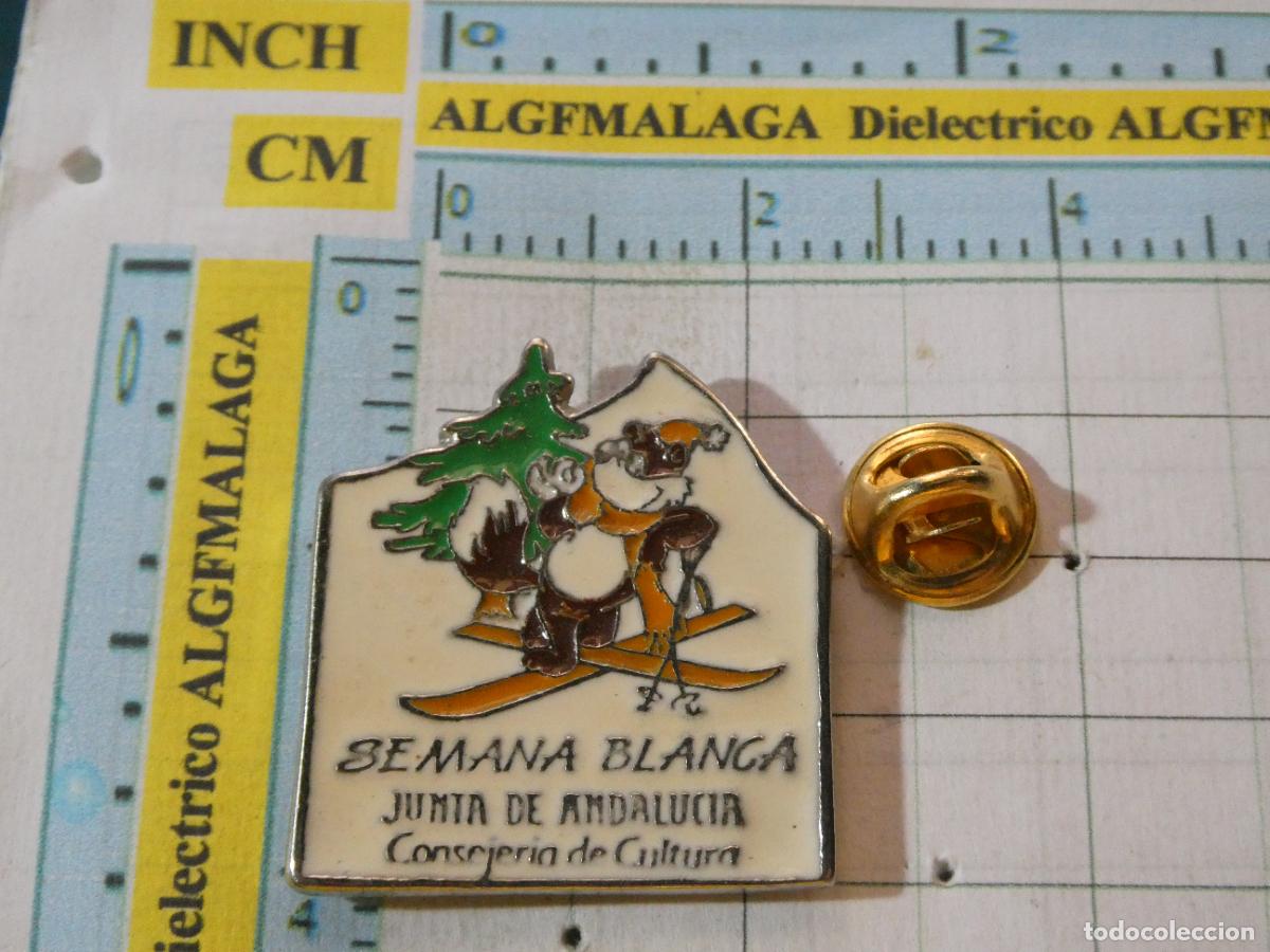 Pins de colecci&oacute;n: PIN DE LA SEMANA BLANCA VACACIONES ANDALUC&Iacute;A NIEVE ESQU&Iacute;