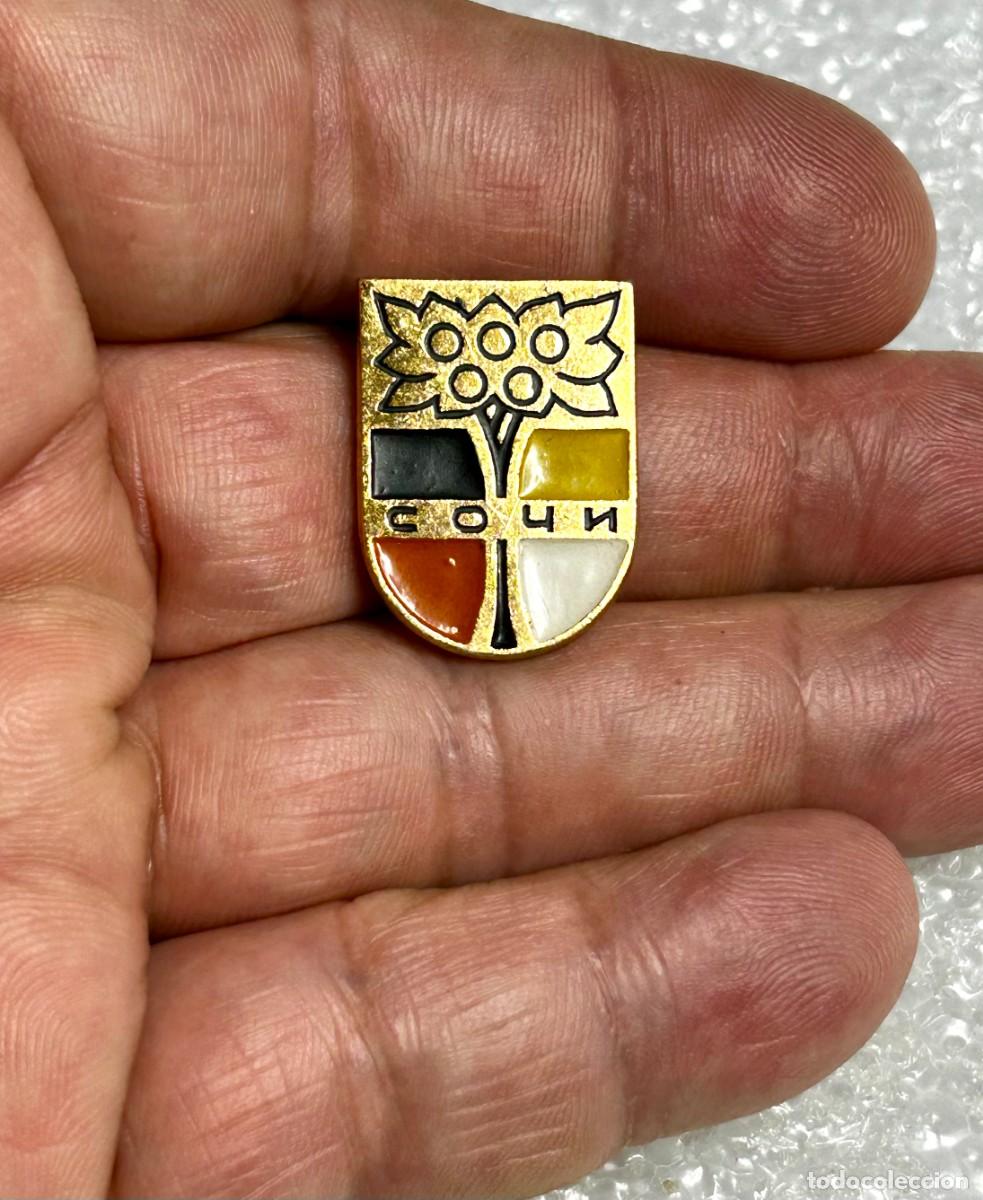 Pins de colecci&oacute;n: 3810.Insignia/Pin de recuerdo vintage de la ciudad de Sochi, Rusia (&Aacute;rbol de la Amistad)