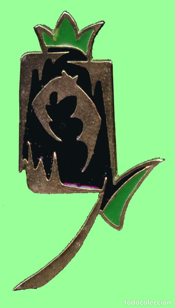 Pins de colecci&oacute;n: PINS - GRUPO DE ESPELE&Oacute;LOGOS GRANADINOS - ESPELEOLOG&Iacute;A - CUEVA