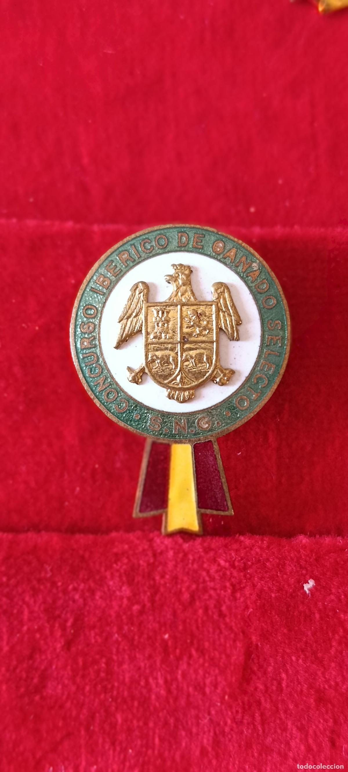 Pins de colecci&oacute;n: PIN DE OJAL SOLAPA. CONCURSO IB&Eacute;RICO DE GANADO SELECTO. S N G