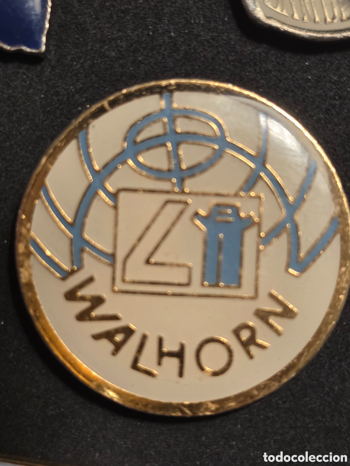 Pins de colecci&oacute;n: PIN ESMALTADO WALHORN