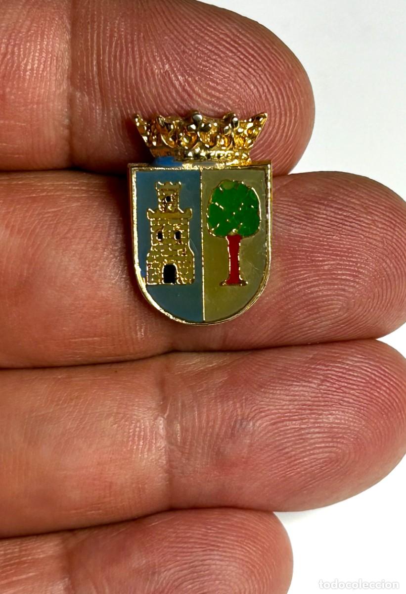 Pins de colecci&oacute;n: 3875.Pin del escudo her&aacute;ldico municipal de Hazas de Cesto, municipio de Cantabria, Espa&ntilde;a