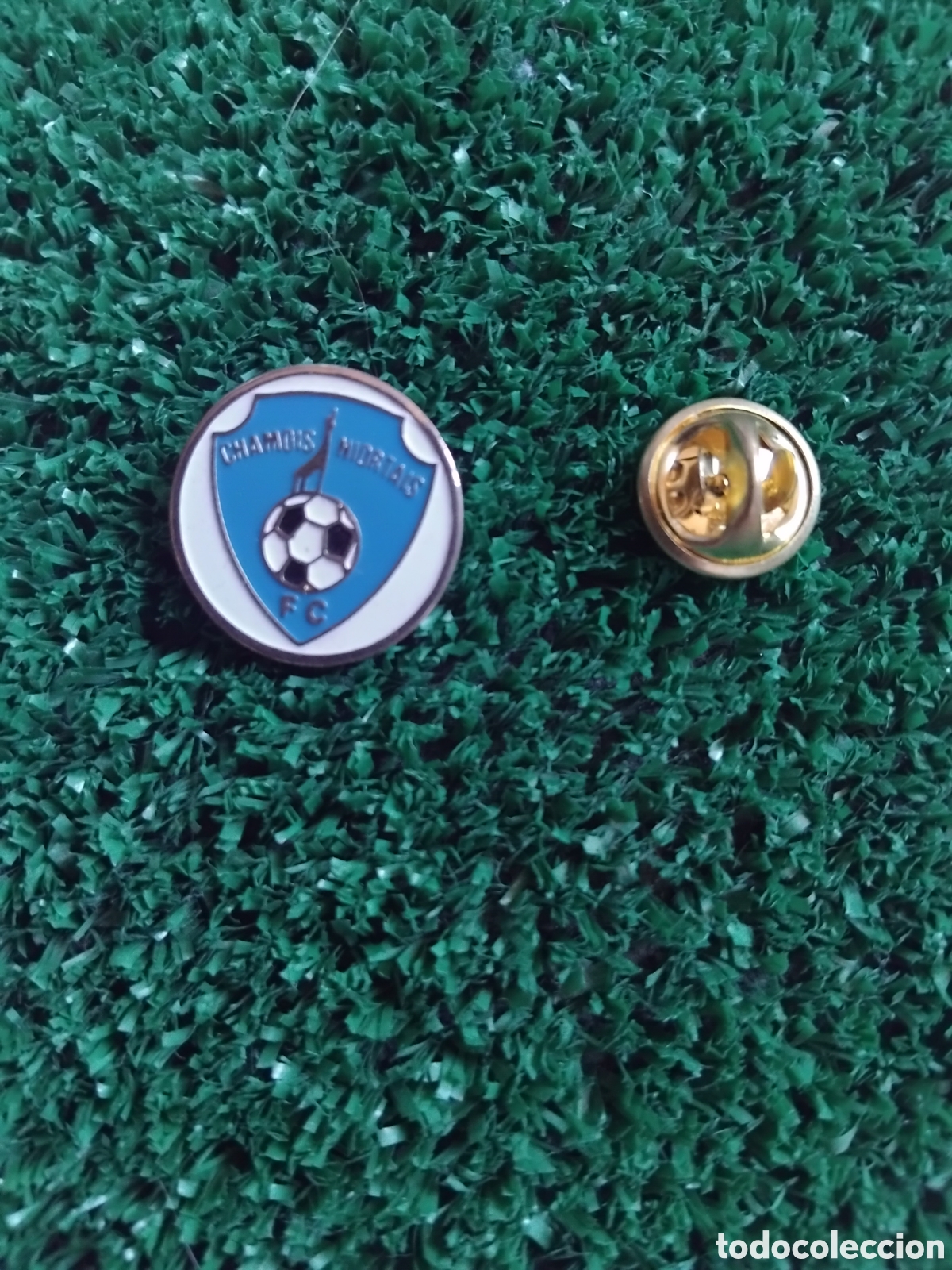 Pins de colecci&oacute;n: Pin del chamois Niortais FC (Francia)