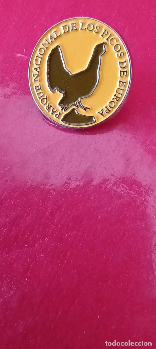 Pins de colecci&oacute;n: Pin Parque nacional de los Picos de Europa - Urogallo