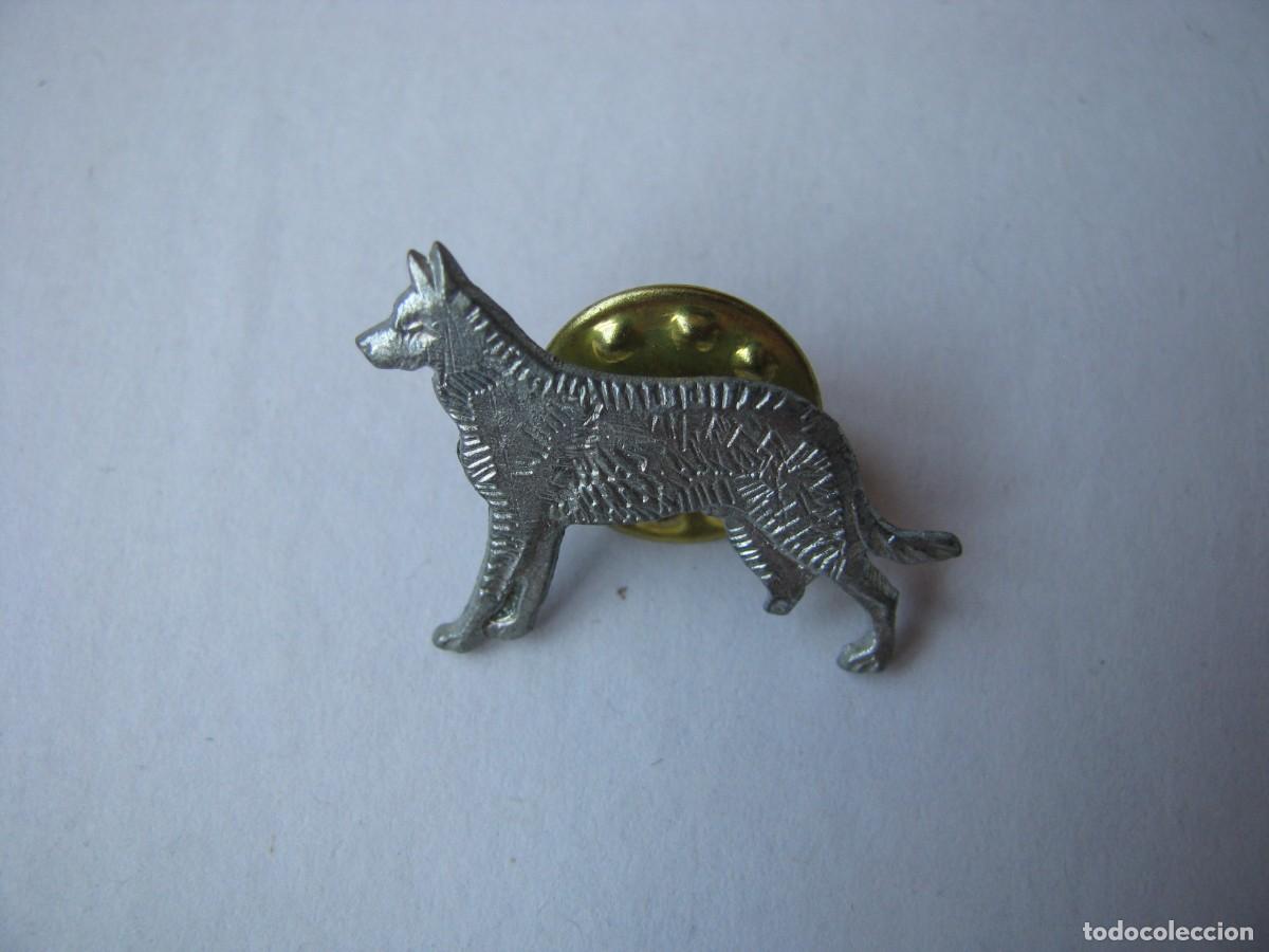Pins de colecci&oacute;n: PIN DE ANIMALES, PERRO.