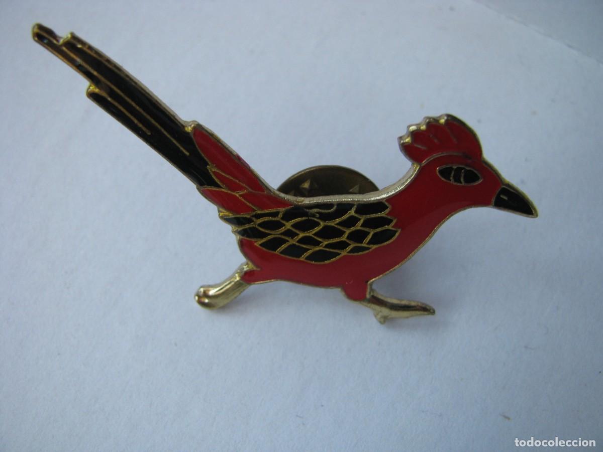Pins de colecci&oacute;n: PIN DE PAJARO CORRECAMINOS