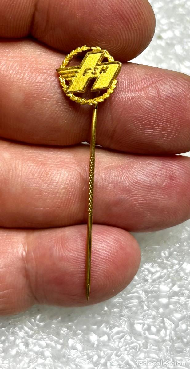 Sammlung von Pins: 3887.Insignia de alfiler vintage de la organizaci&oacute;n FSH de Suecia