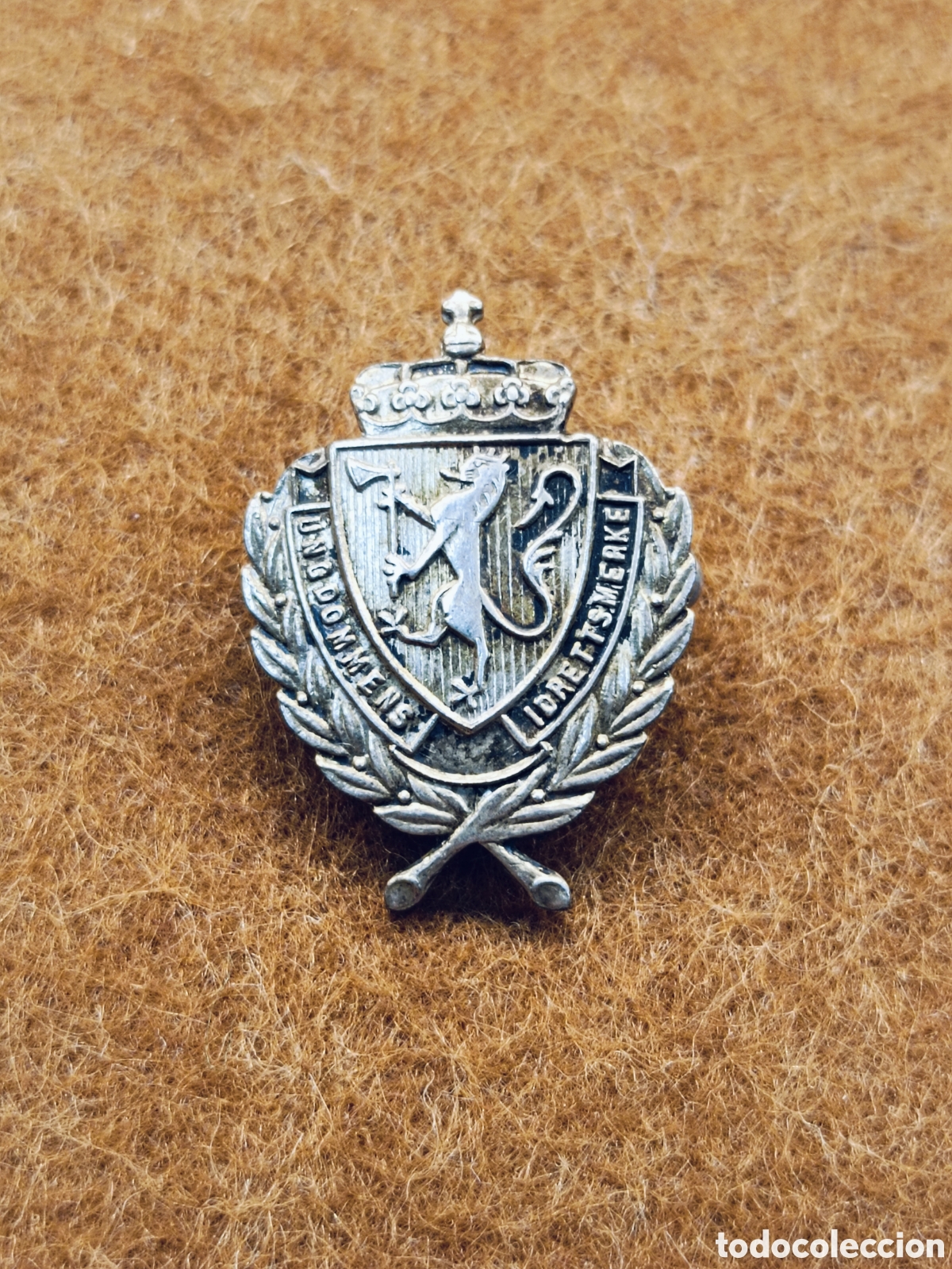 Pins de colecci&oacute;n: ANTIGUA INSIGNIA ALFILER. ASOCIACI&Oacute;N DEPORTIVA JUVENIL . NORUEGA
